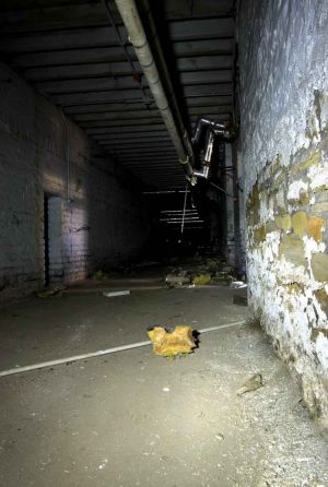 The service tunnels below the hospital. There was a rumor these tunnels were used to transport patients around the hospital.  